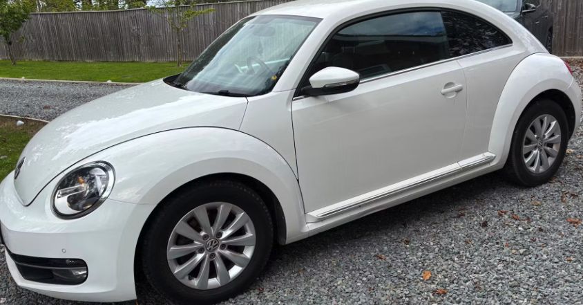 Beetle