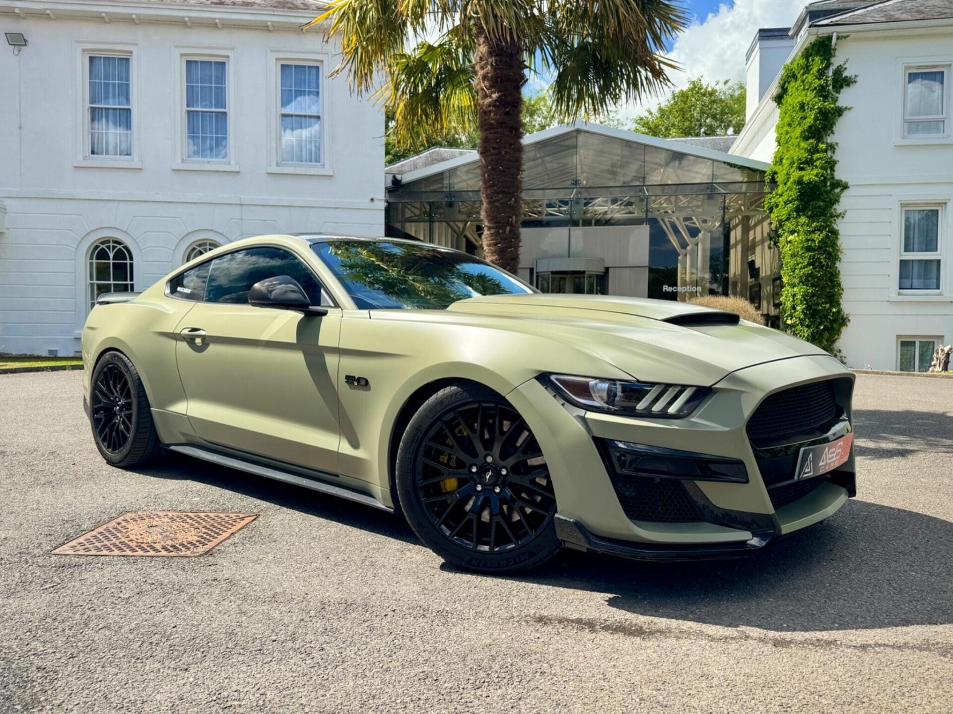 Mustang