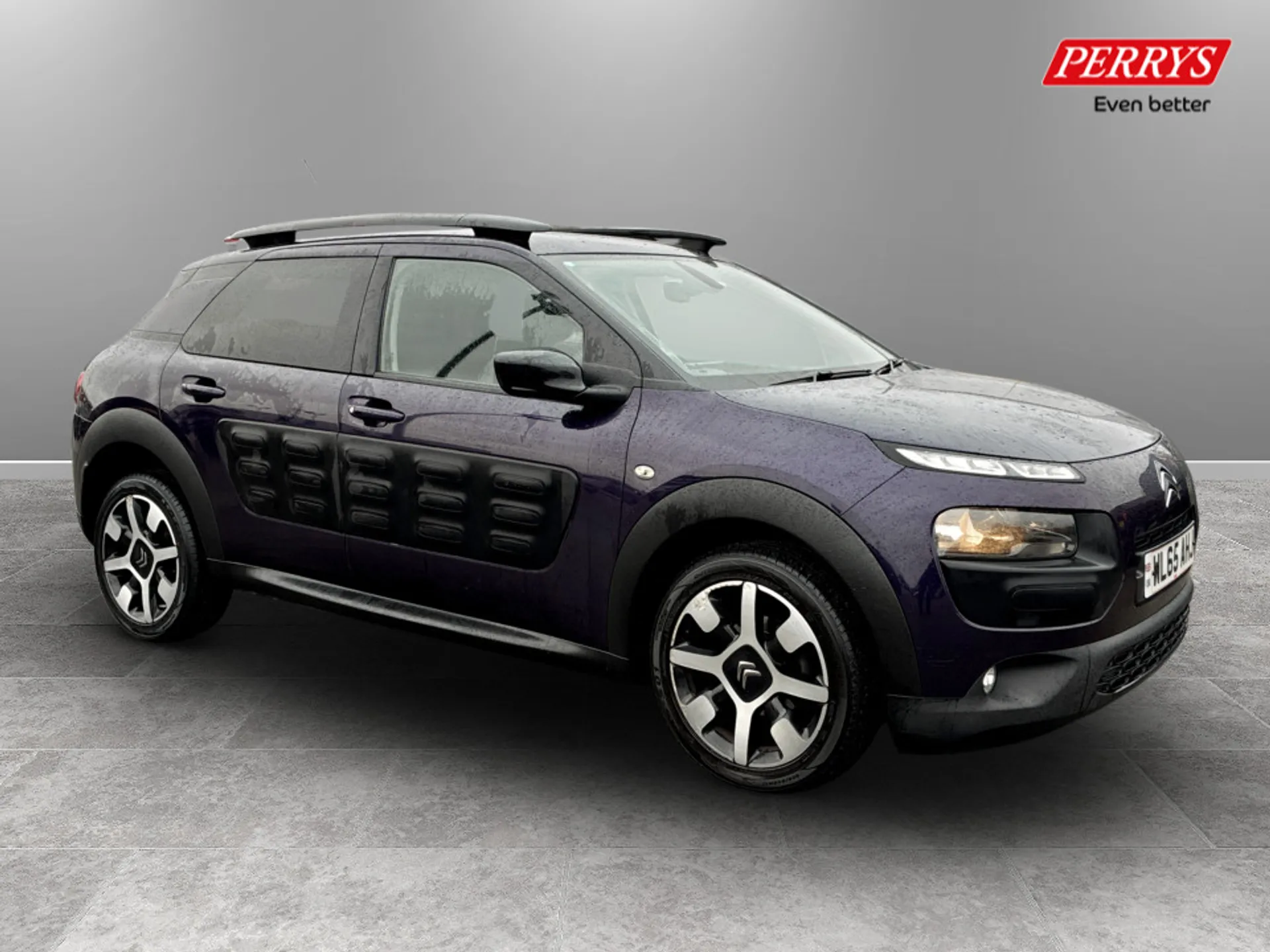 C4 Cactus