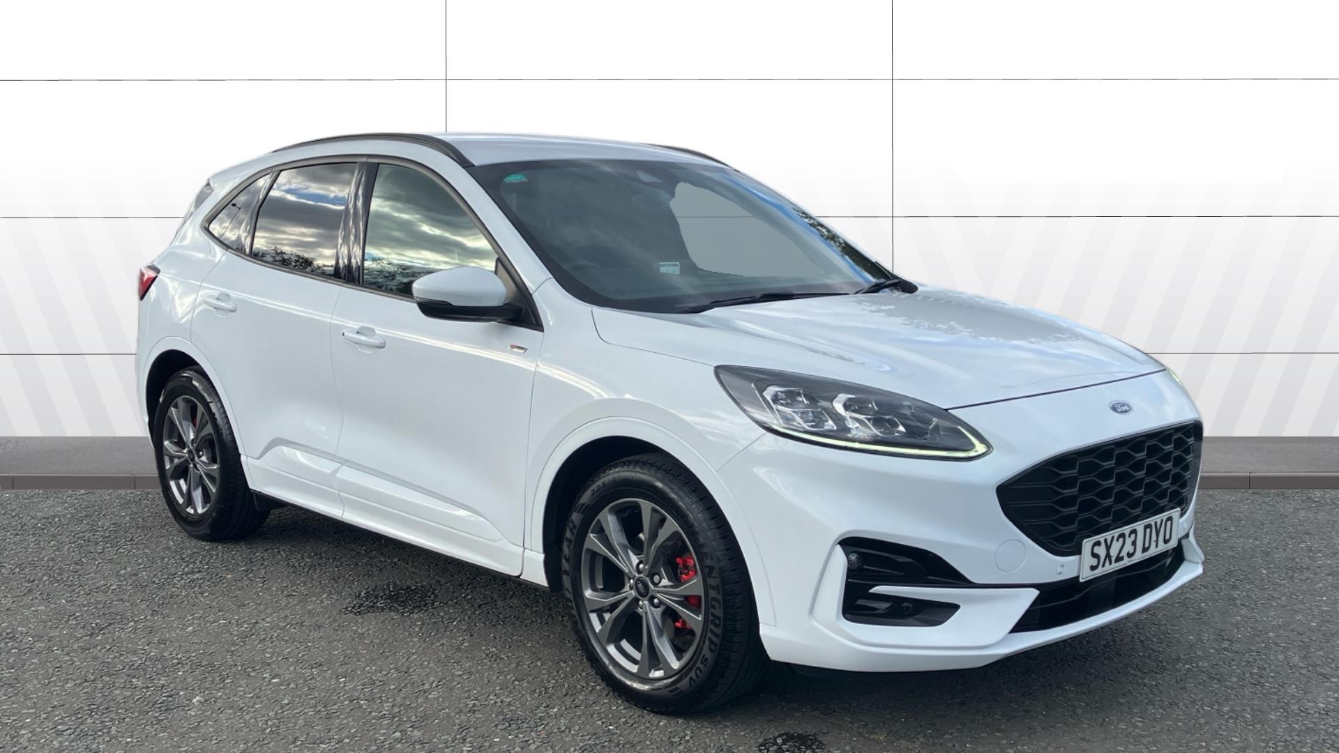 Kuga