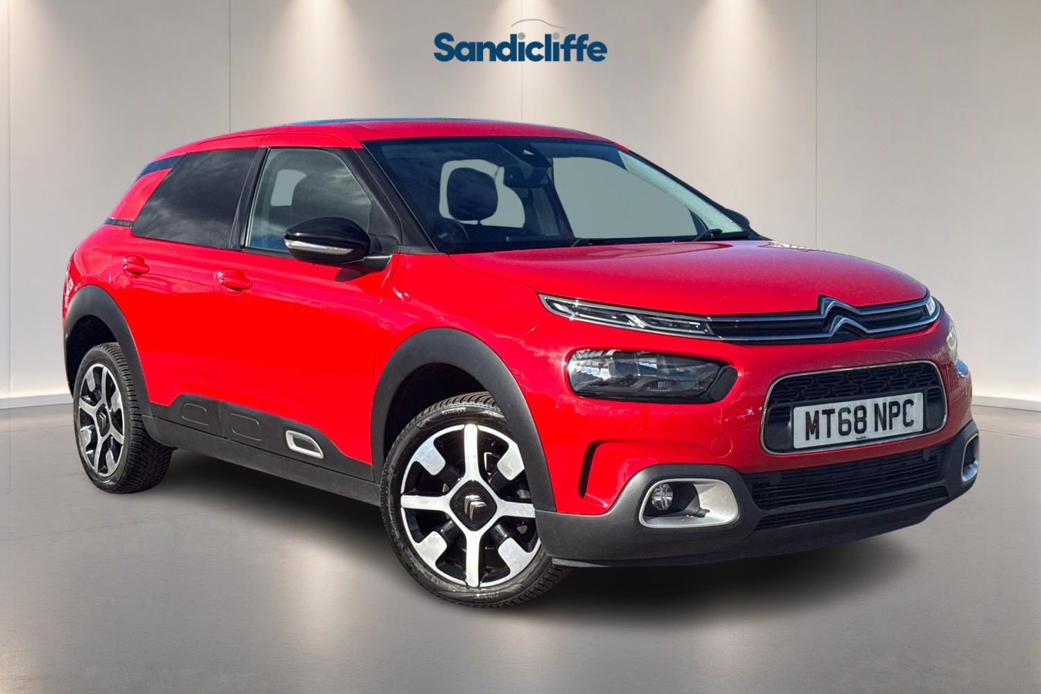 C4 Cactus
