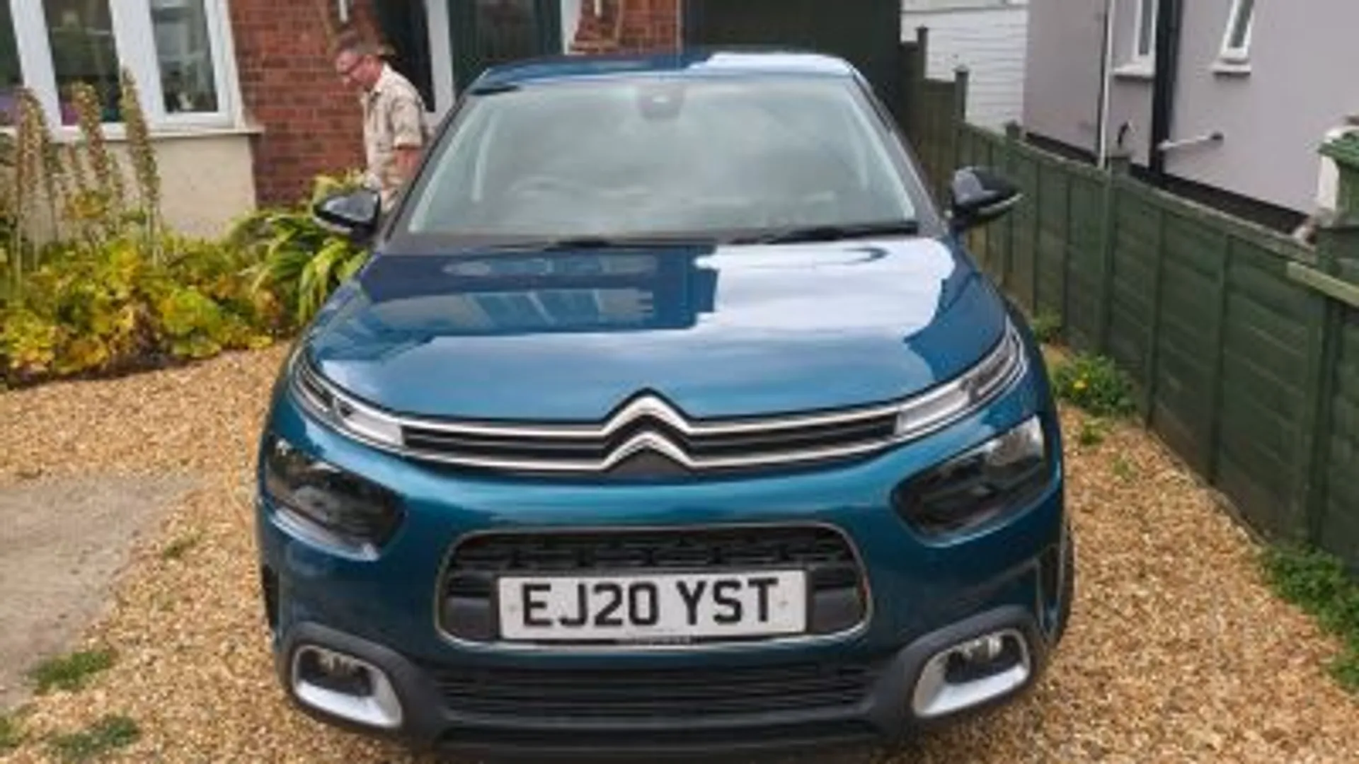 C4 Cactus