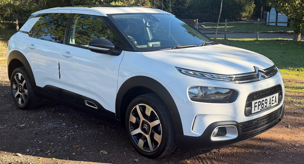 C4 Cactus