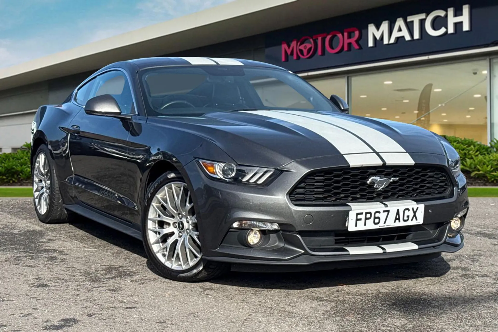 Mustang