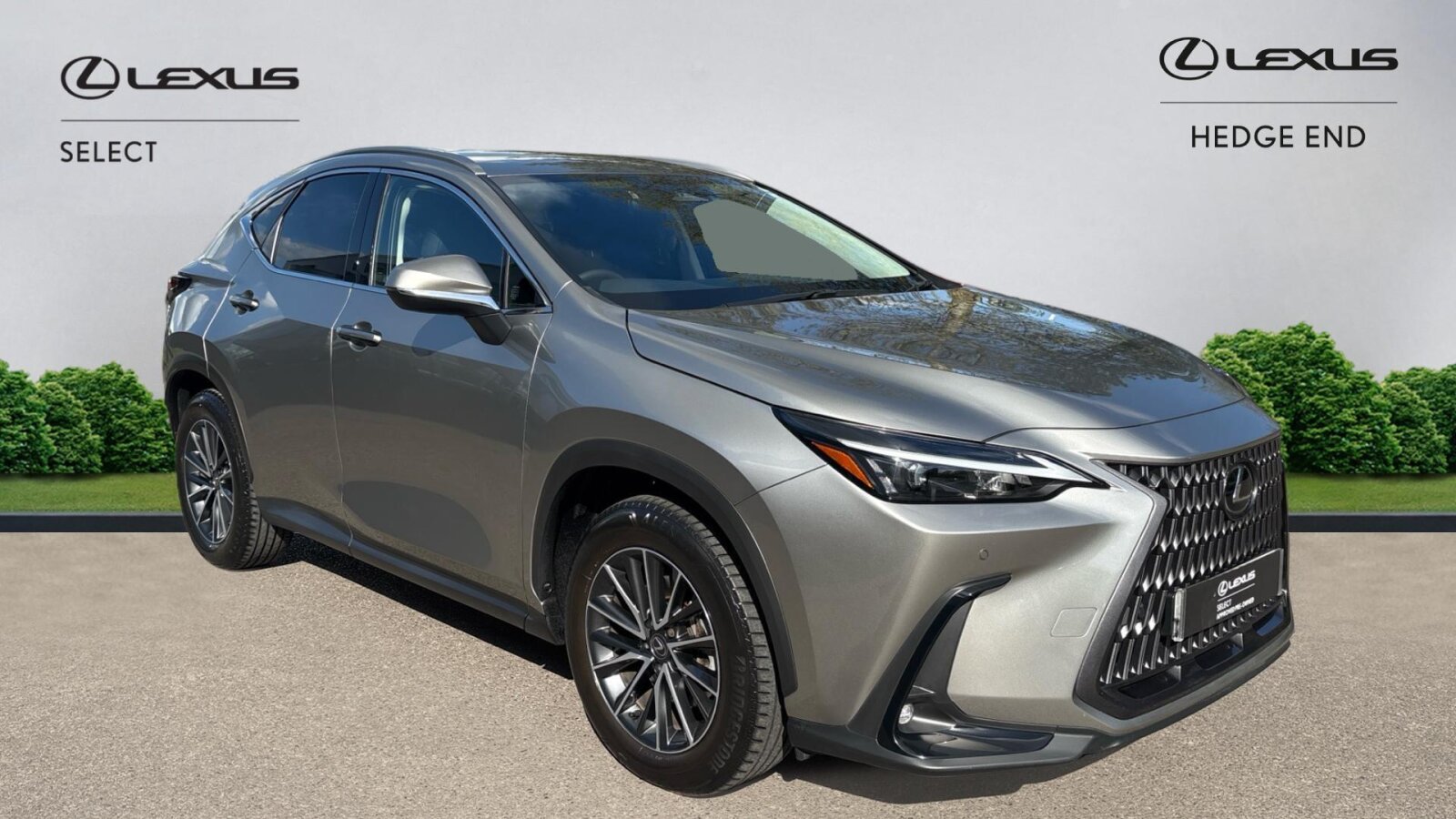 NX Hybrid