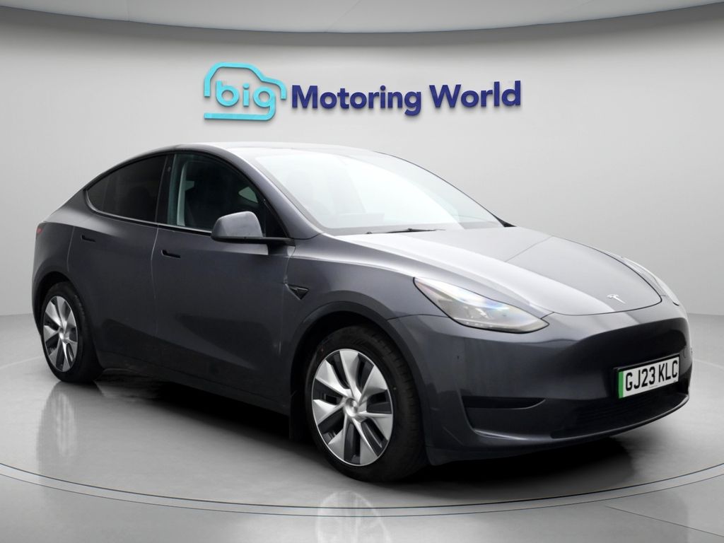 Model Y