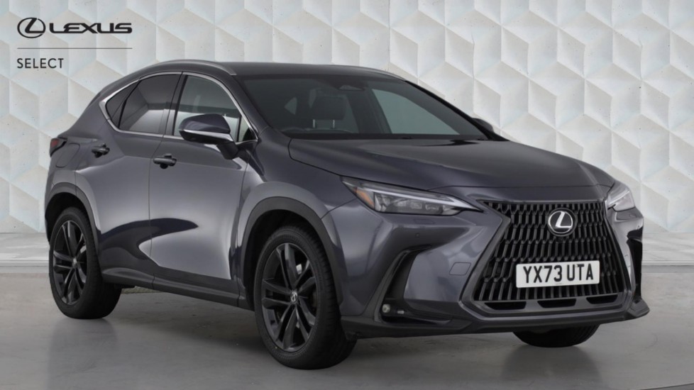 NX Hybrid