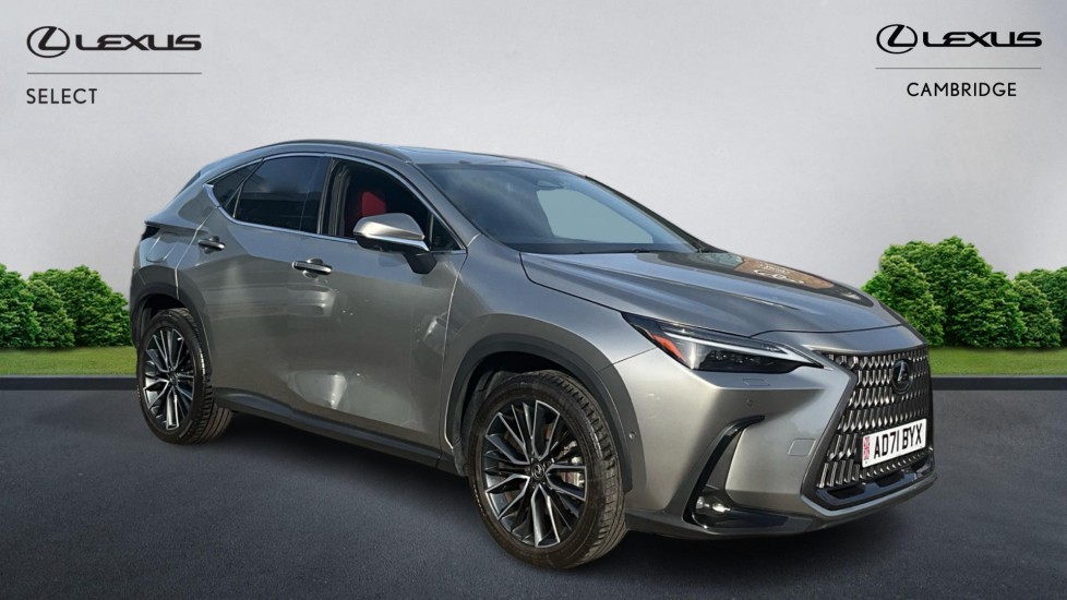 NX Hybrid