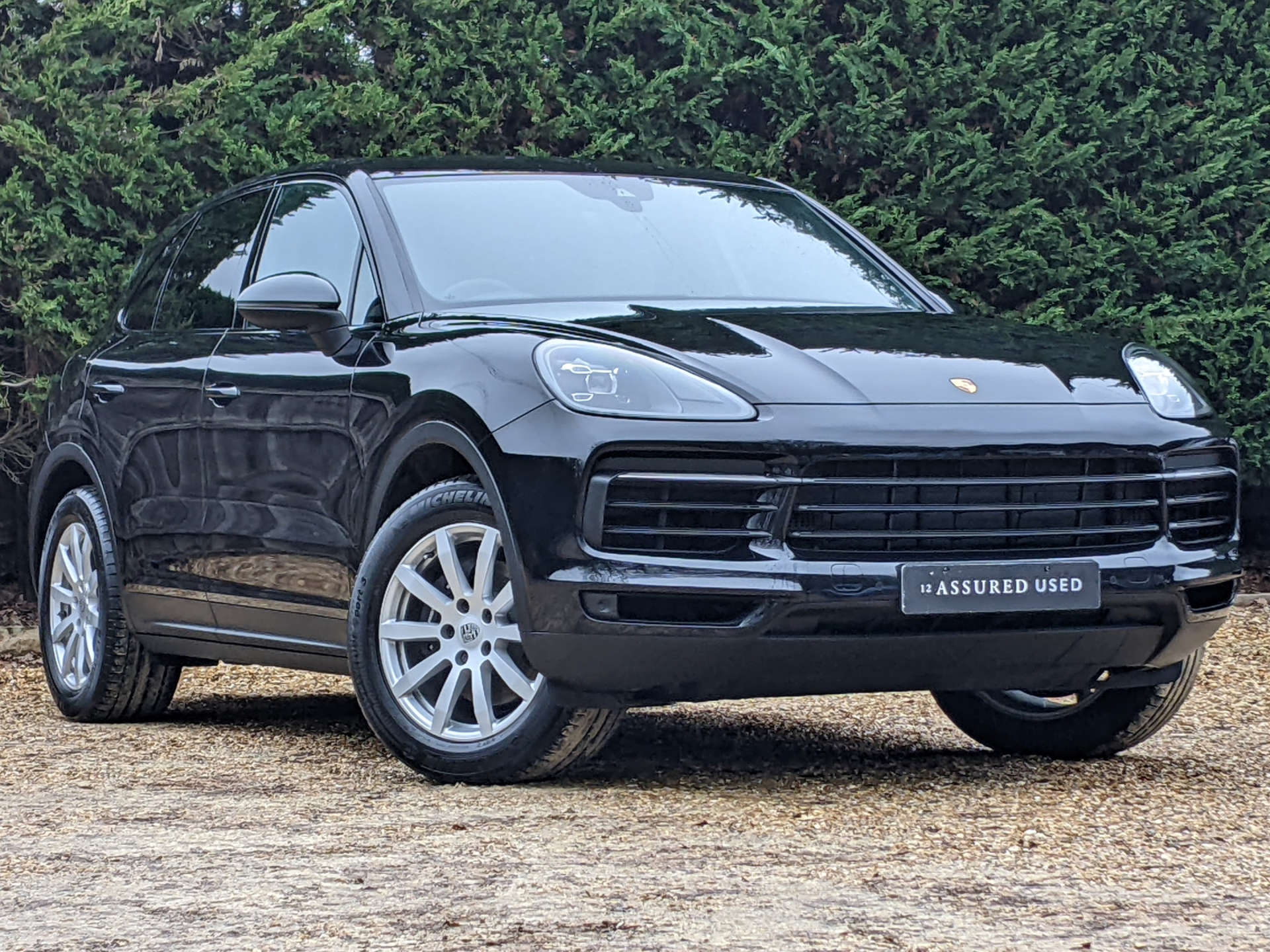 Cayenne