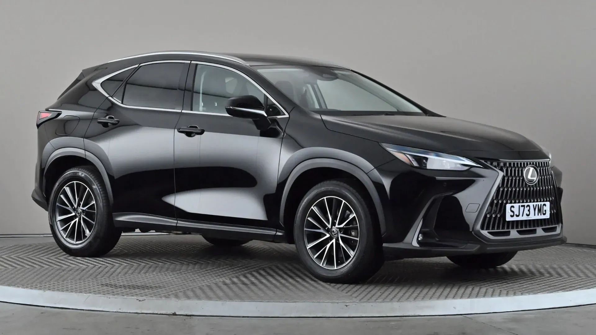 NX Hybrid
