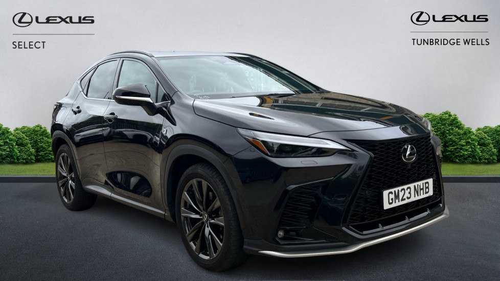 NX Hybrid