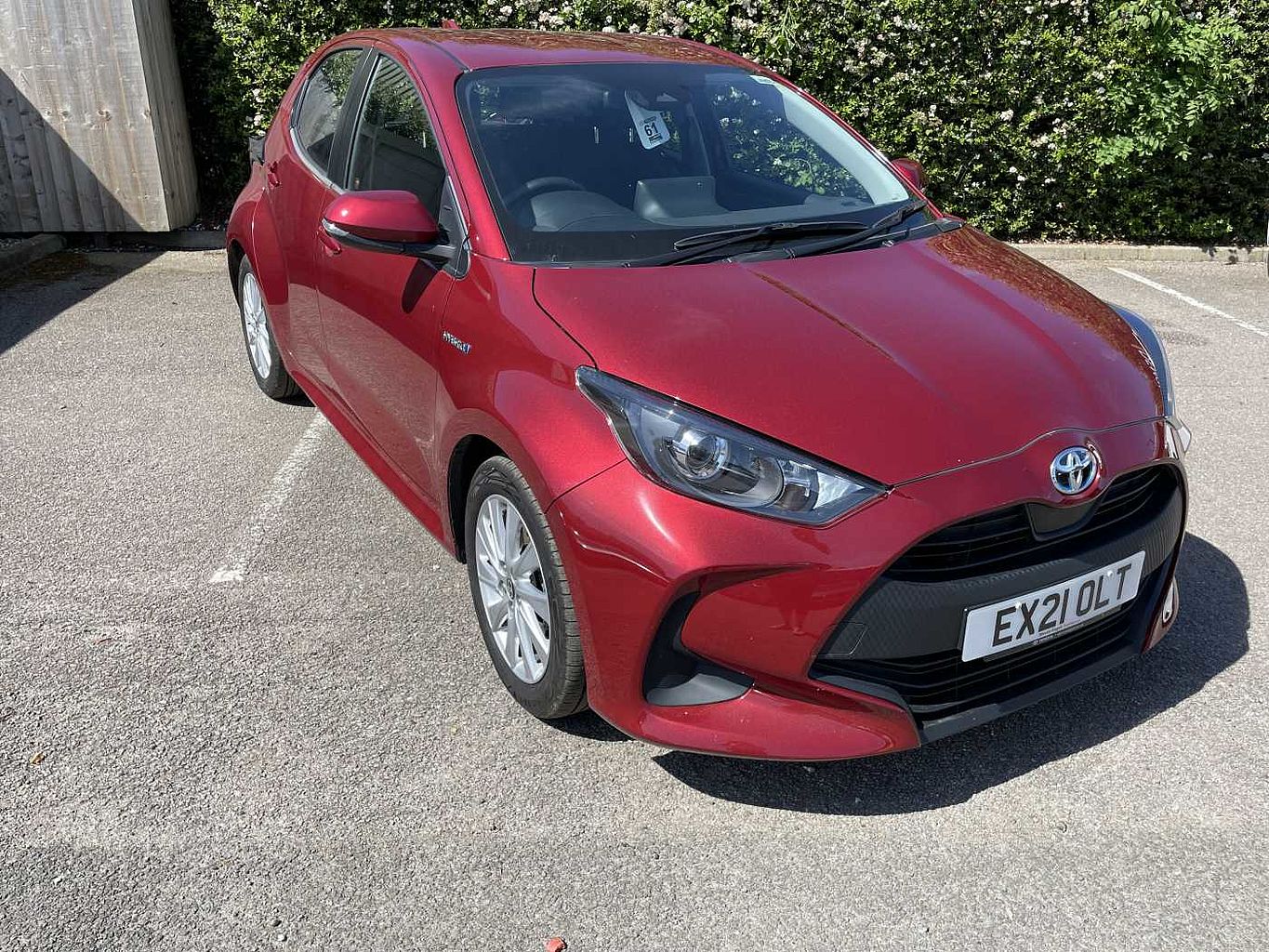 Yaris