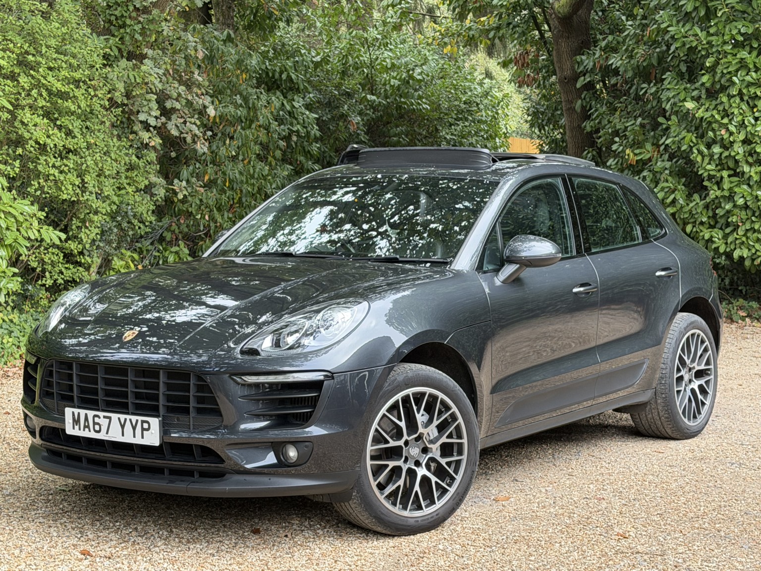 Macan