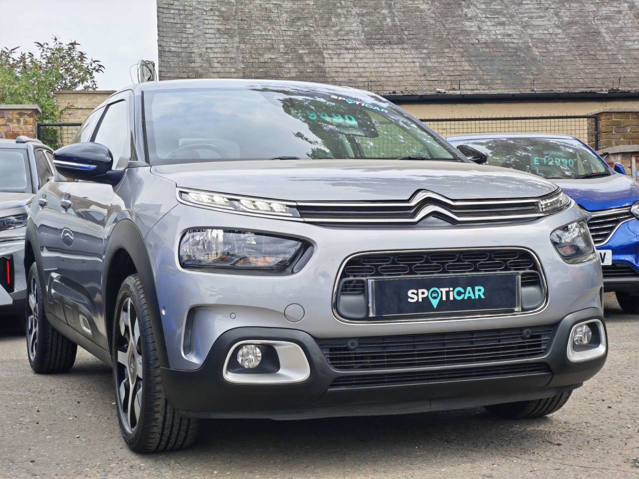 C4 Cactus