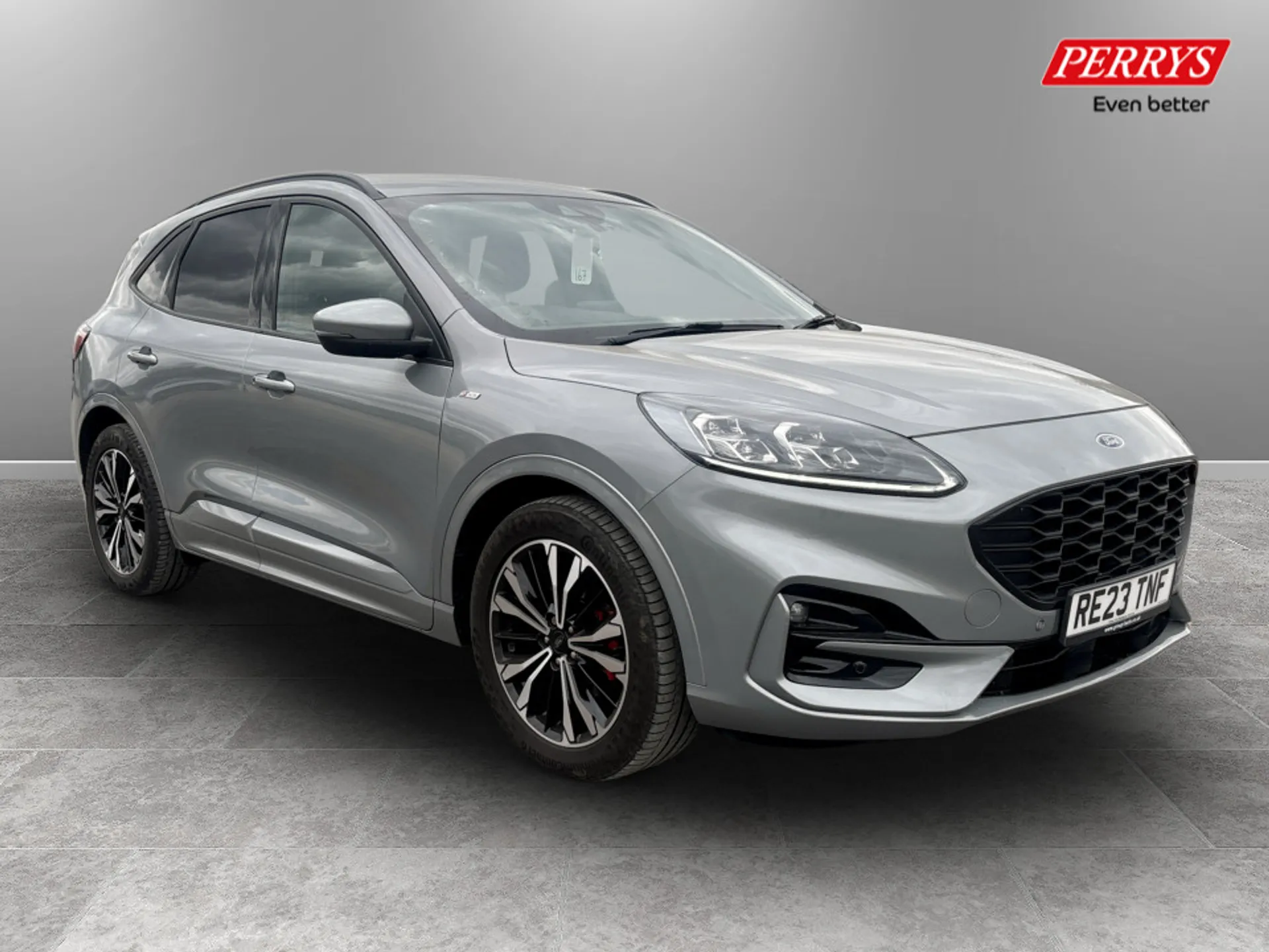Kuga