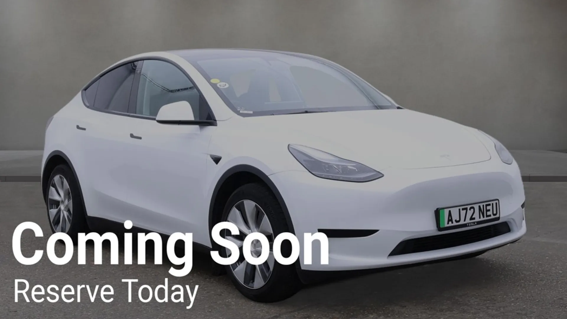 Model Y
