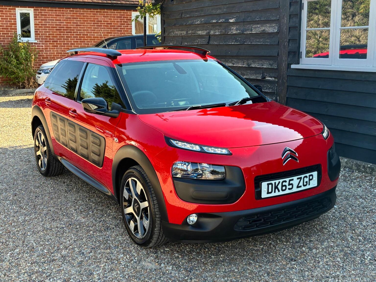 C4 Cactus