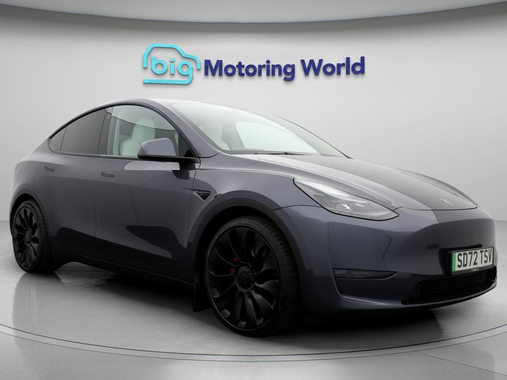 Model Y Performance