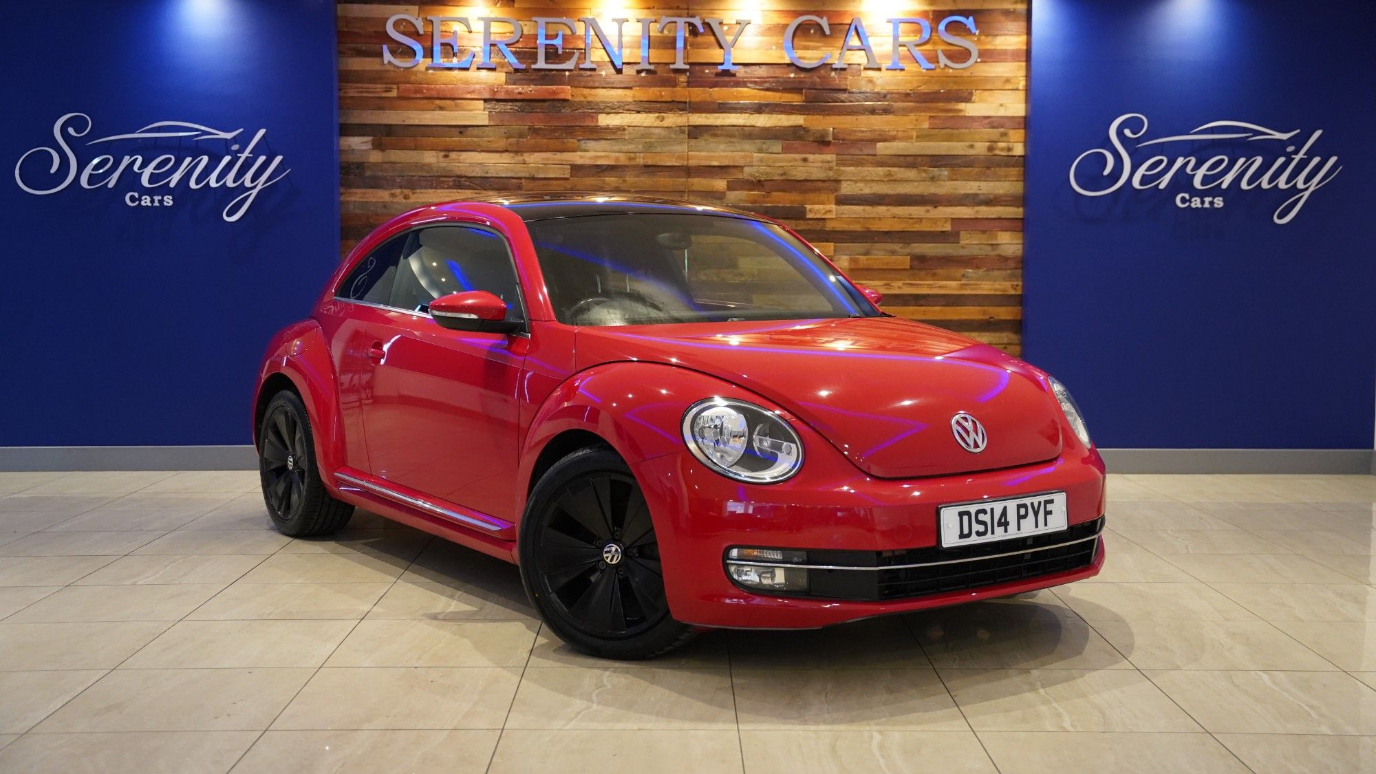 Beetle
