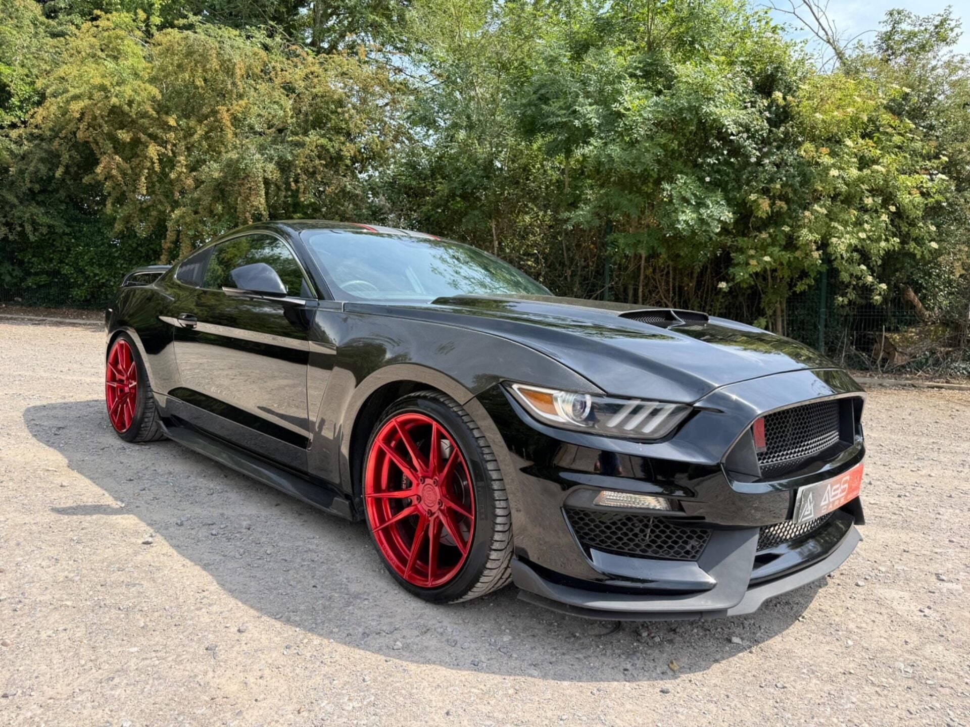 Mustang