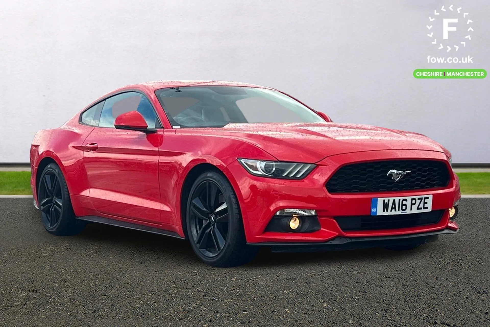 Mustang