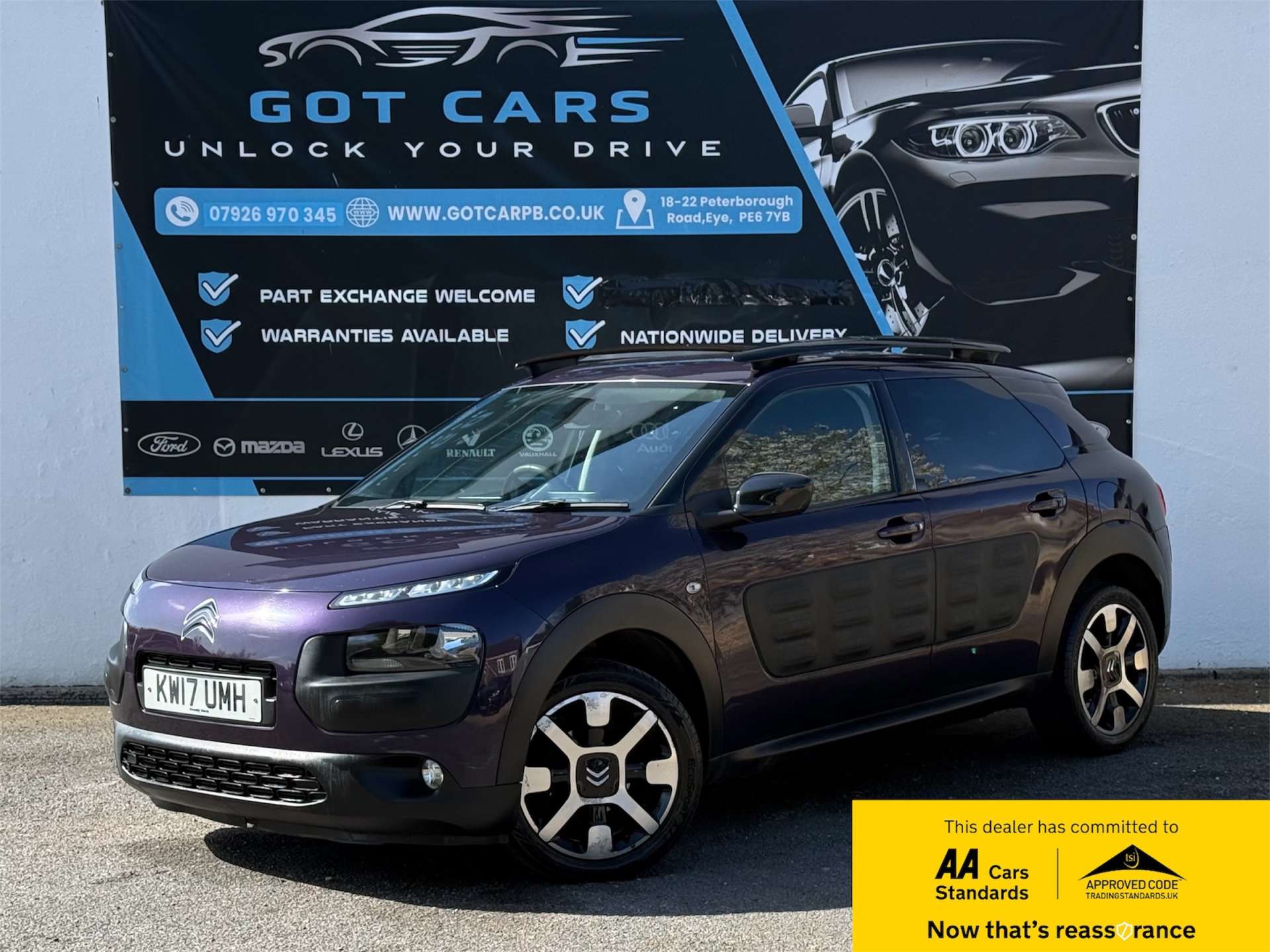 C4 Cactus