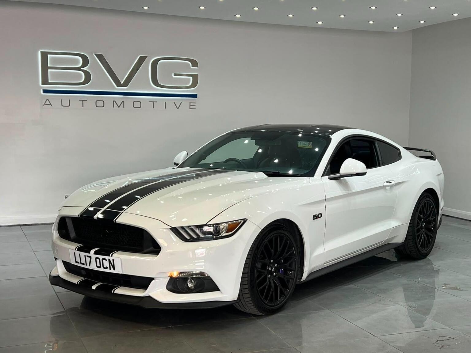 Mustang