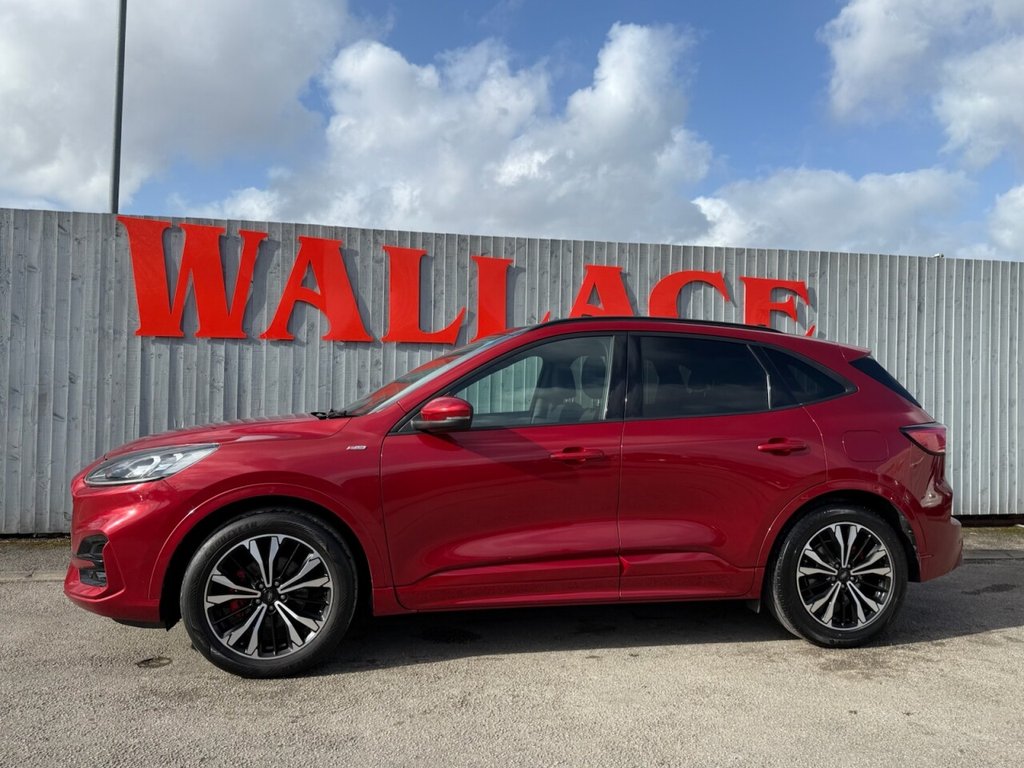 Kuga