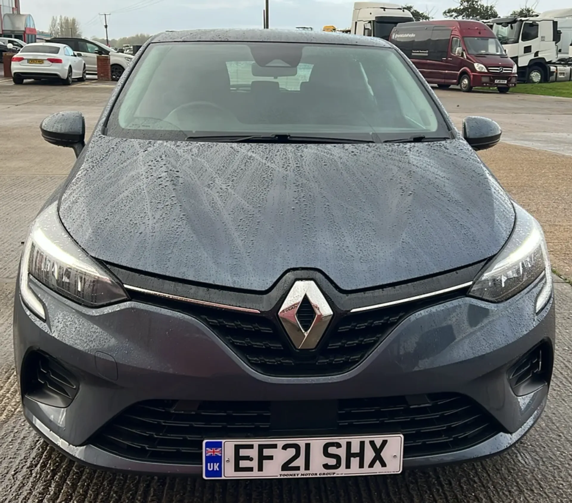 Clio