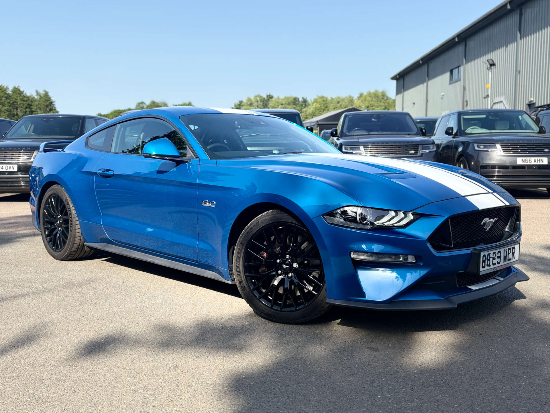 Mustang