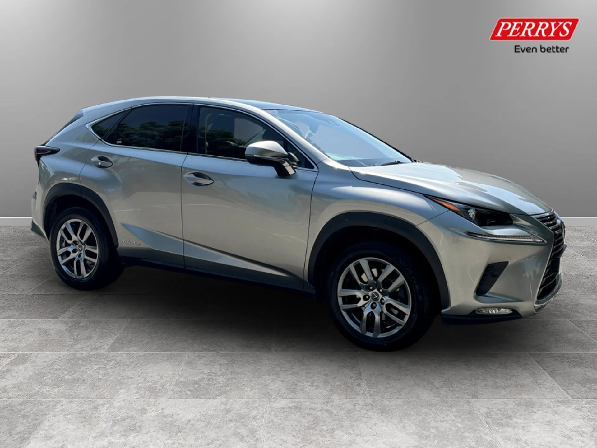NX Hybrid