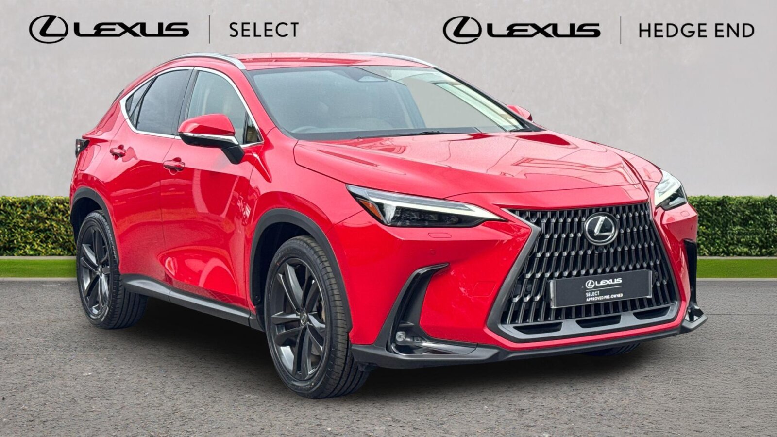 NX Hybrid