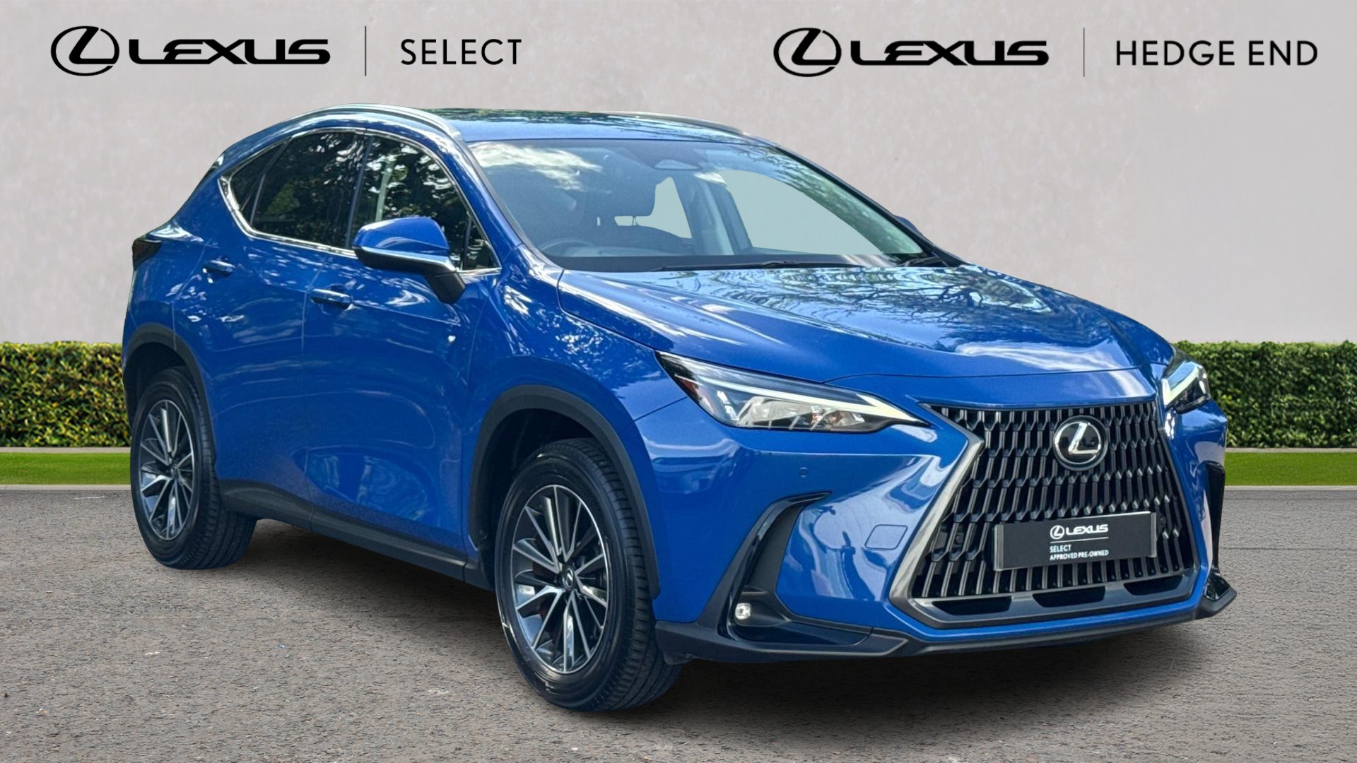 NX Hybrid