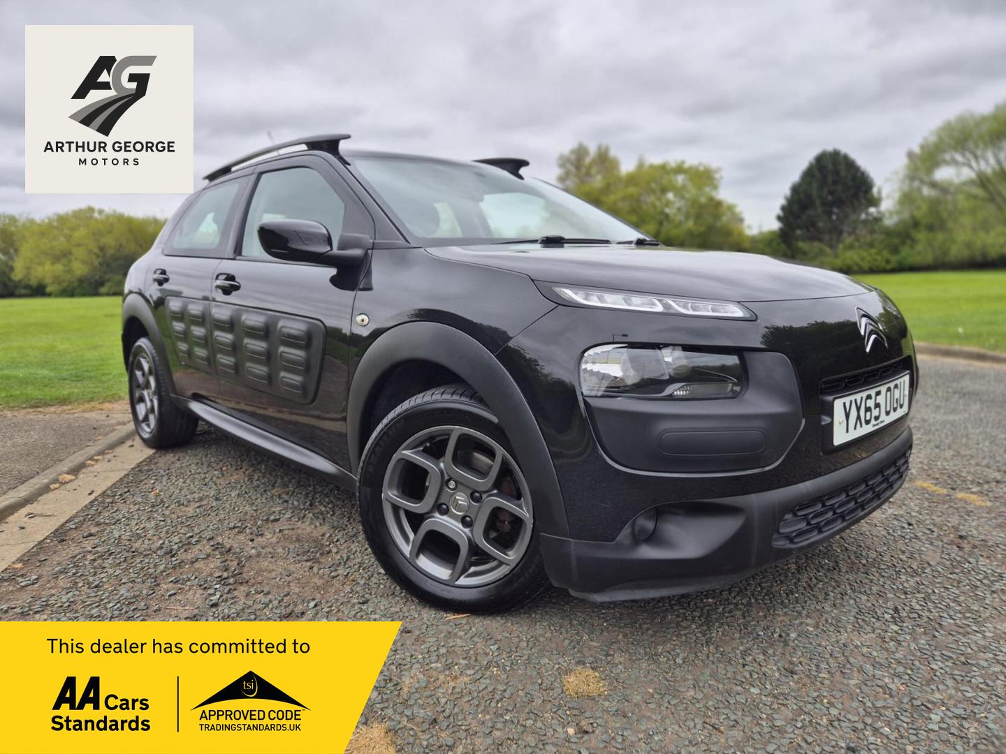 C4 Cactus