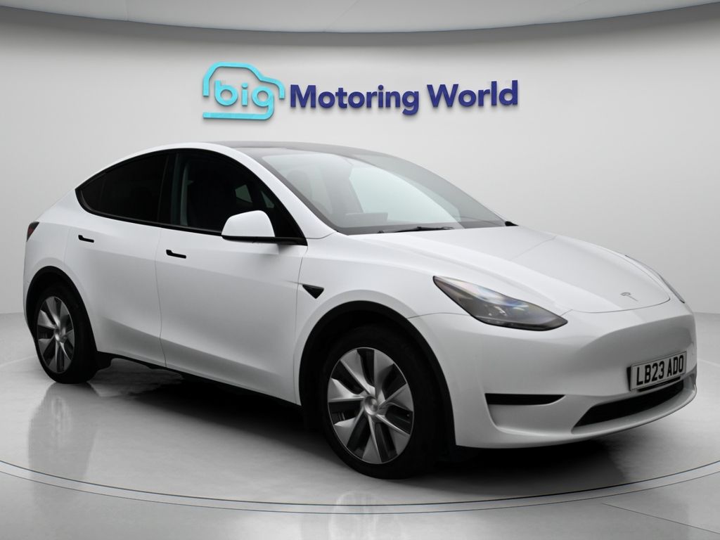 Model Y