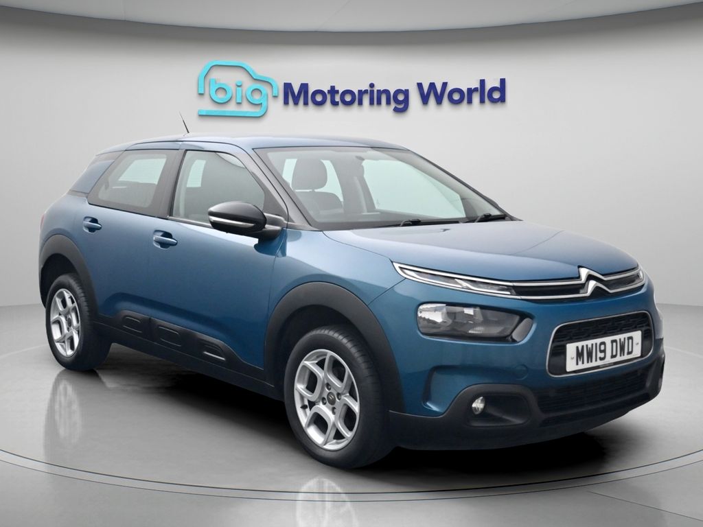 C4 Cactus